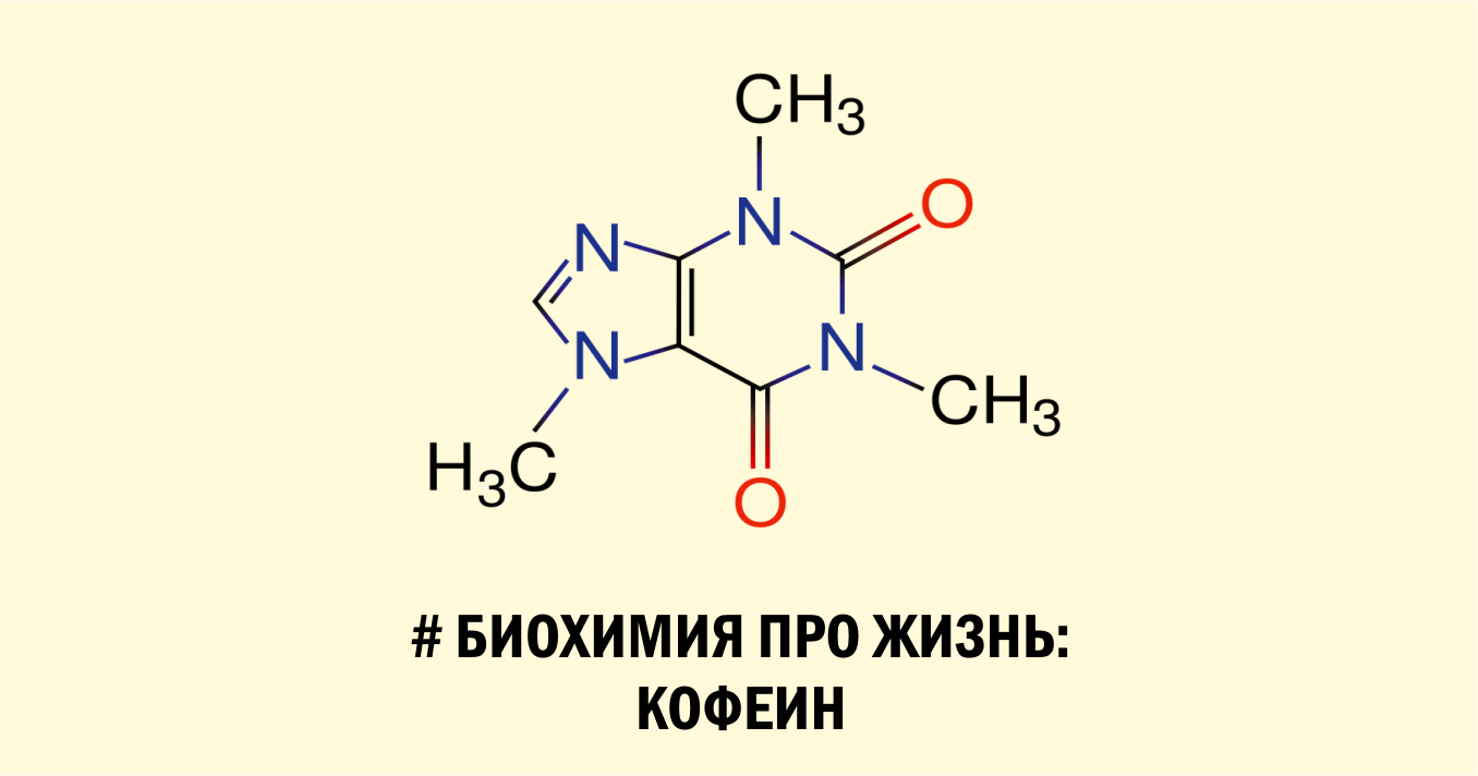 Про кофеин. Кофеин биохимия. Кофеин алкалоид. Кофеин структурная формула. Эффект кофеина биохимия.